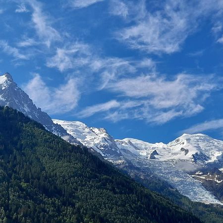Le Petit Balcon Avec Vue Sur Le Mont-Blanc 2 Etoiles Apartment Chamonix Luaran gambar