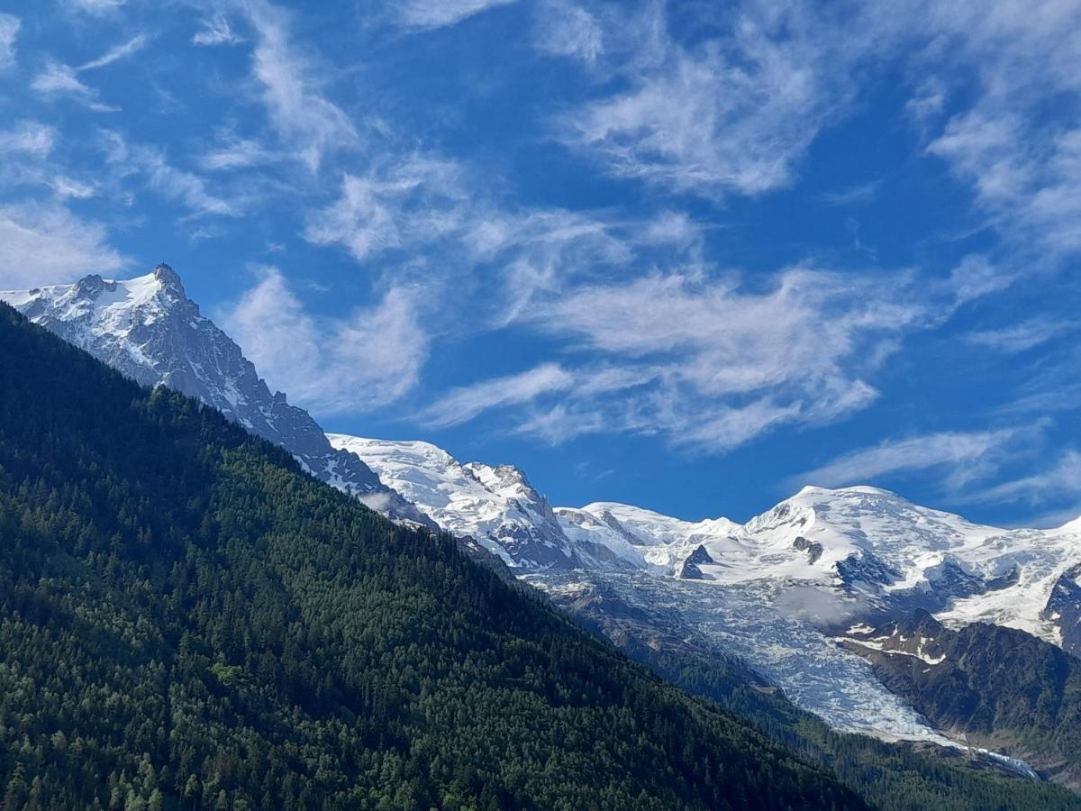 Le Petit Balcon Avec Vue Sur Le Mont-Blanc 2 Etoiles Apartment Chamonix Luaran gambar
